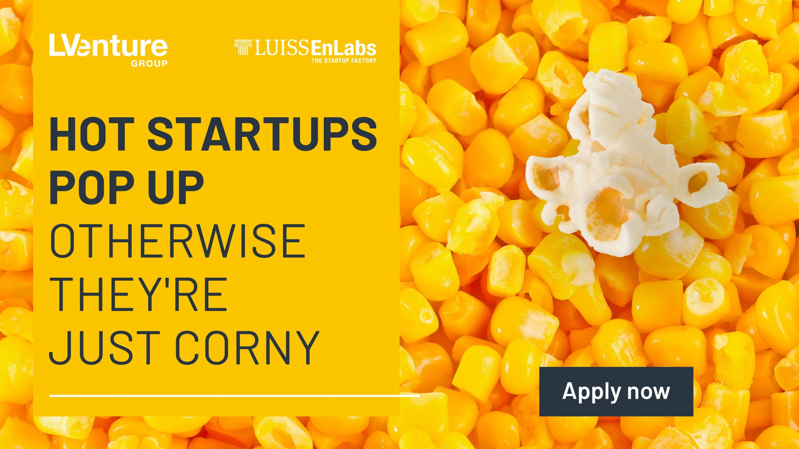 LVenture Group and LUISS EnLabs launch their newest acceleration program batch: up to €160K for the best digital startups