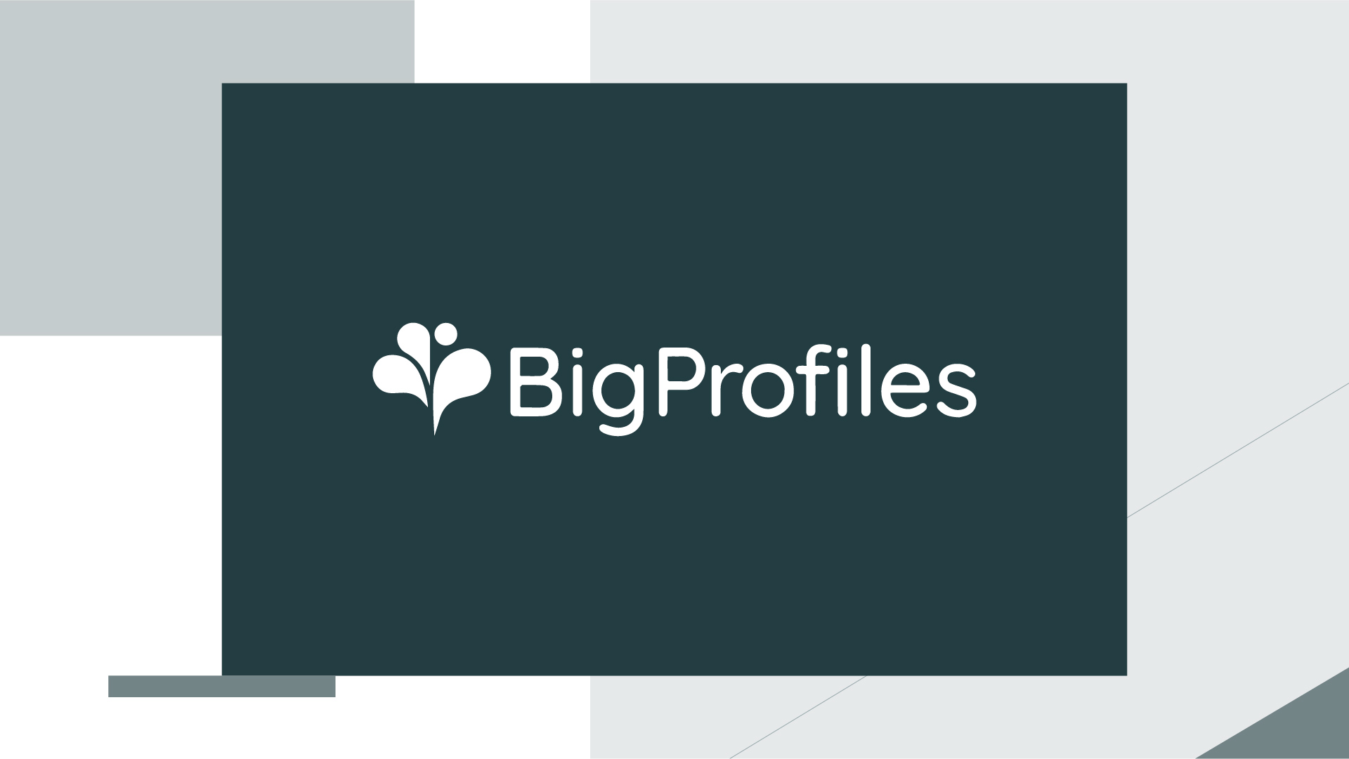 The marketing intelligence platform BigProfiles raises €1,5M in order to allow companies to increase their customer base