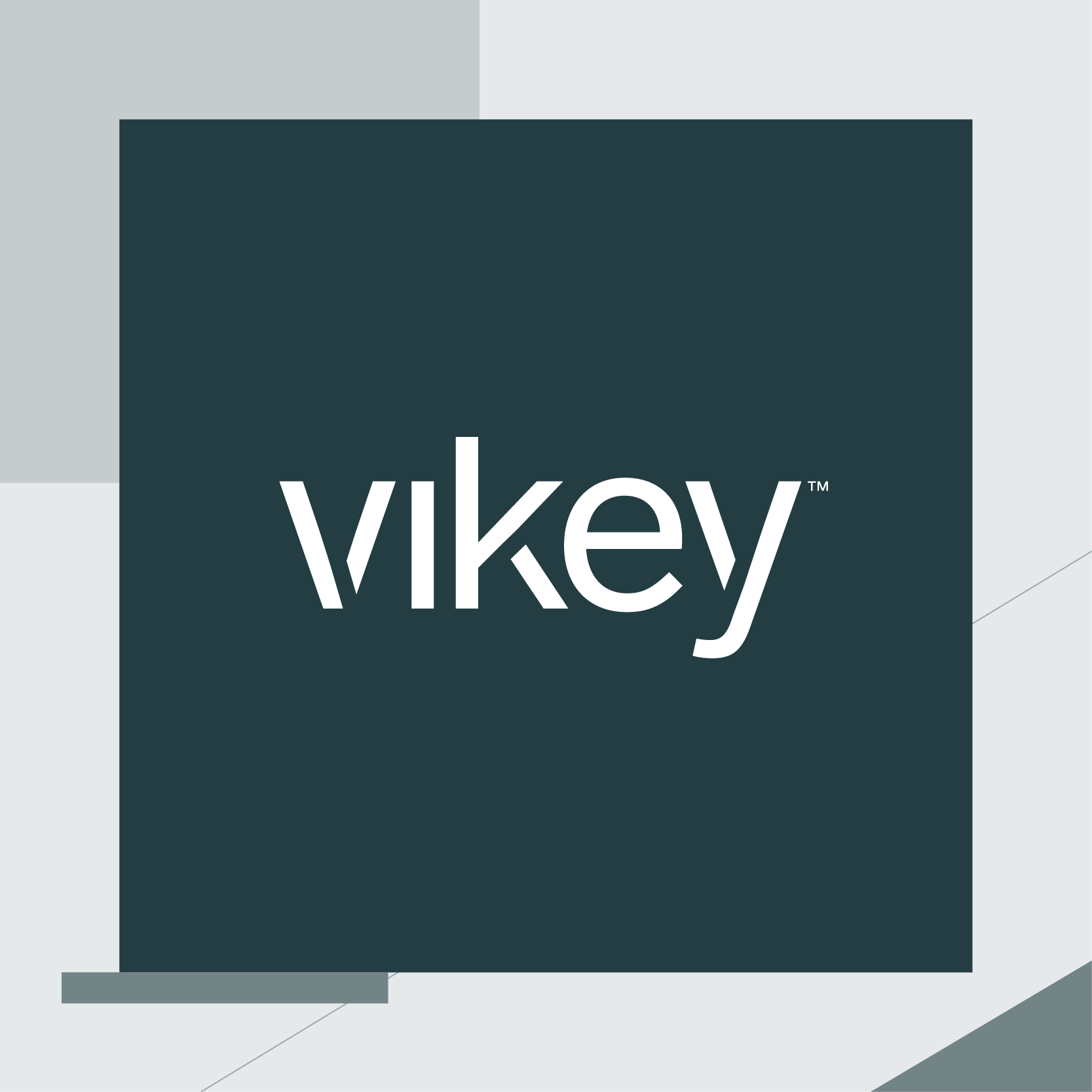 Vikey, la startup del self check-in, chiude un nuovo round di investimento da €800K